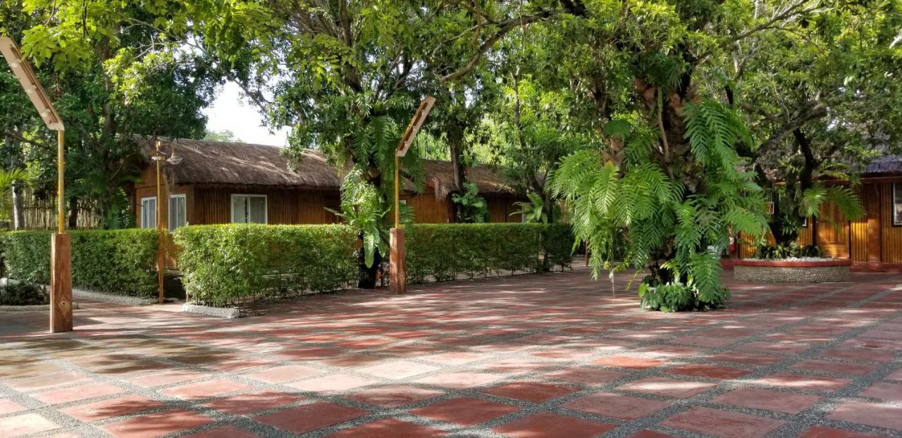 Buenavista Family Inn Tagudin Exterior foto