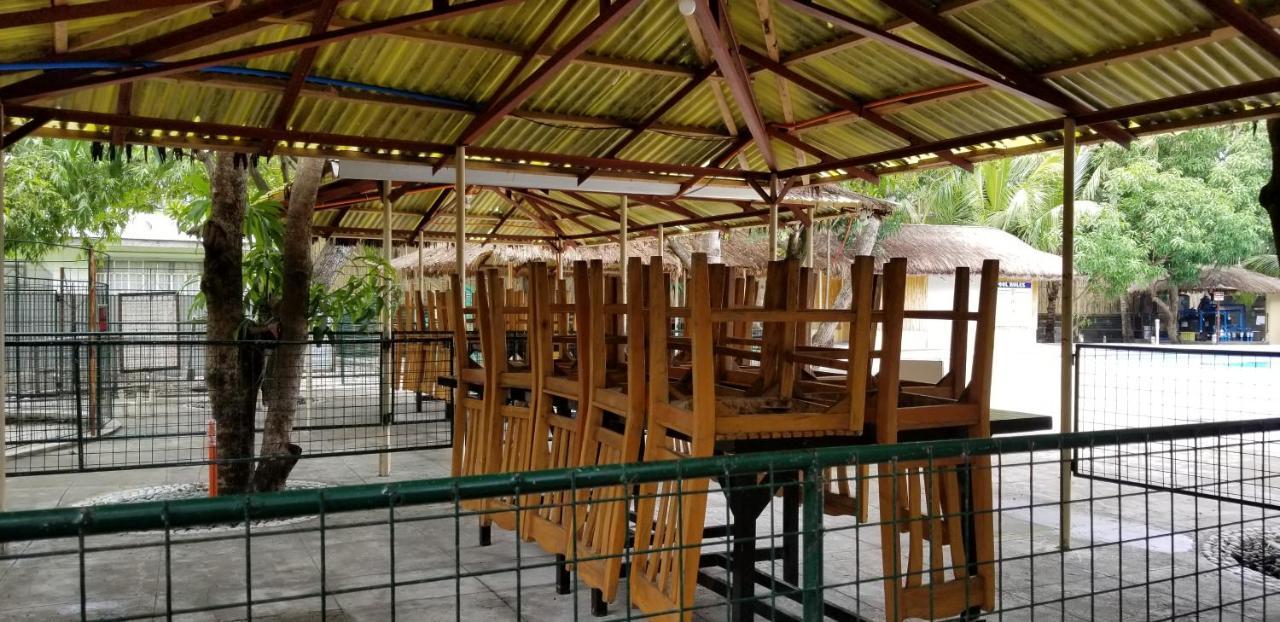 Buenavista Family Inn Tagudin Exterior foto